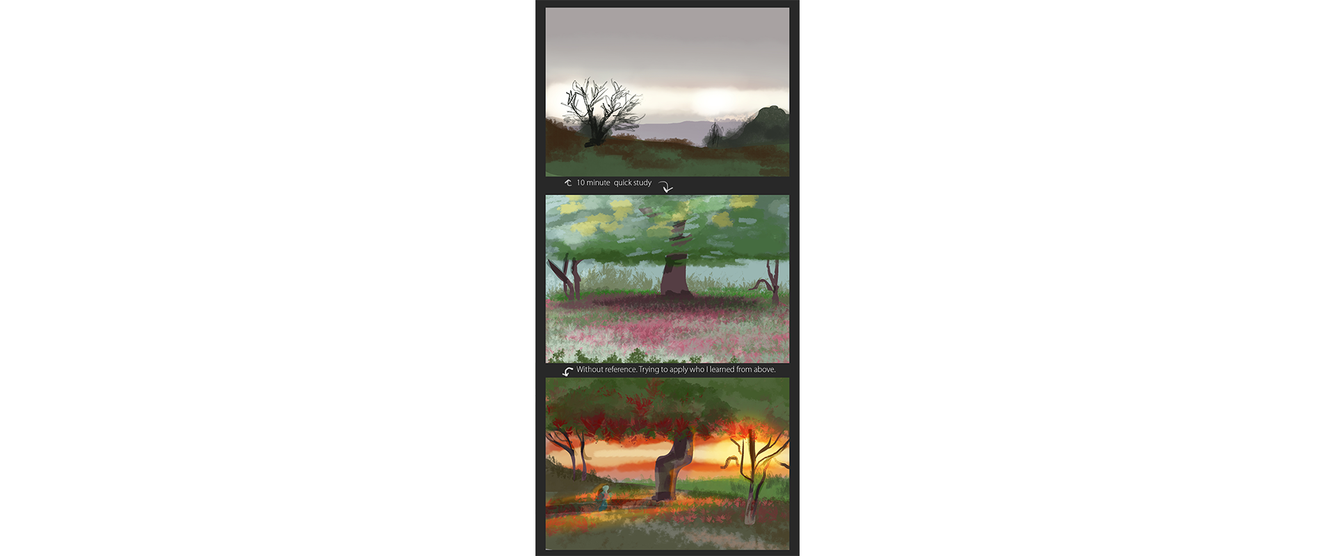 daily-studies_01