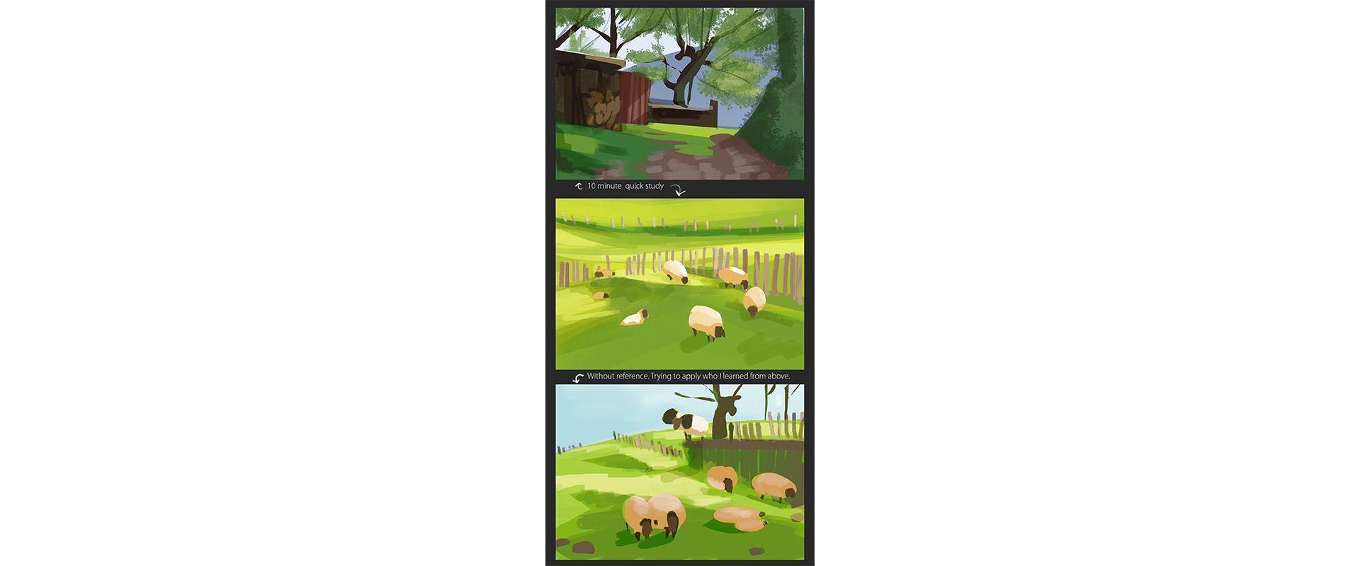 daily-studies_05